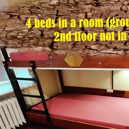 Kefir & Bun Hostel *