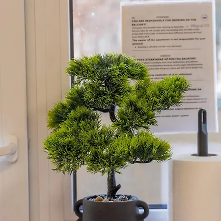 אכסניה Kefir & Bun קובנה