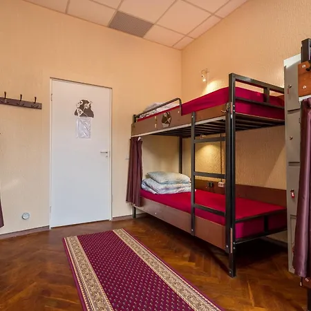 Kefir & Bun קובנה