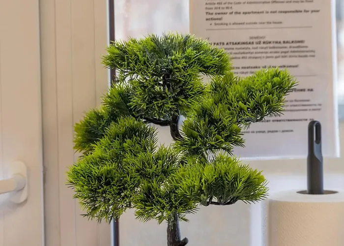 Vandrarhem Kefir & Bun Hostel-auto Check-in Kaunas