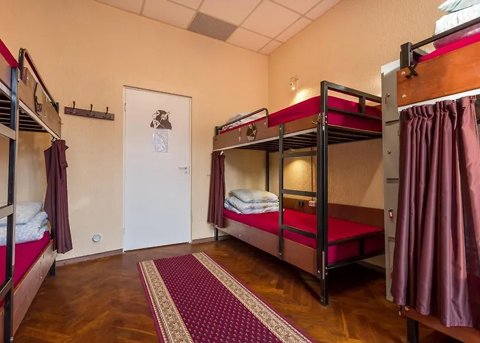 Kefir & Bun Hostel-auto Check-in Kaunas